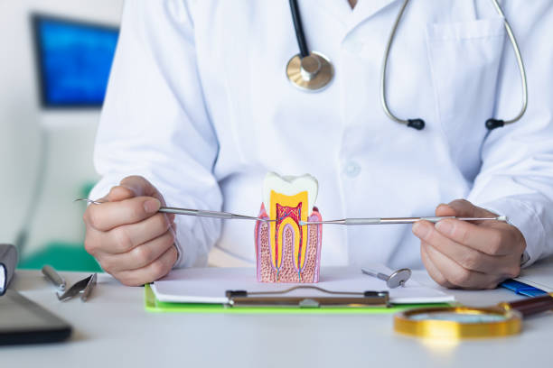 Best Emergency Dentist for Special Needs Patients in Camp Barrett, VA